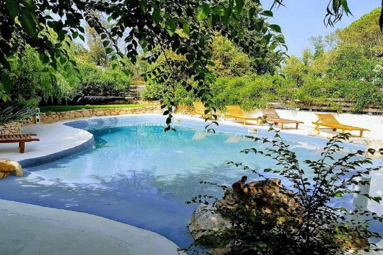 Salvacintoggio -votre Avec Piscine Privée- * Porto Vecchio