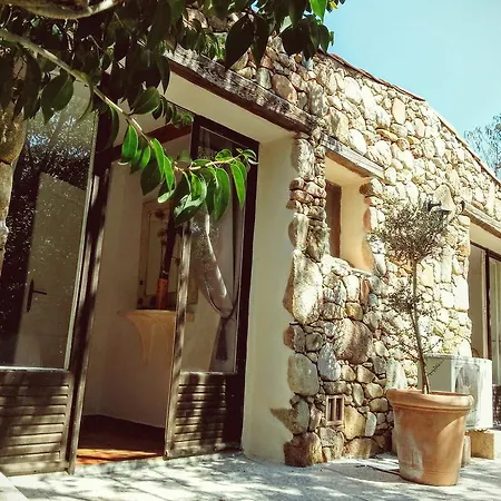 Salvacintoggio -Votre Villa Avec Piscine Privee- Porto-Vecchio  Room photo