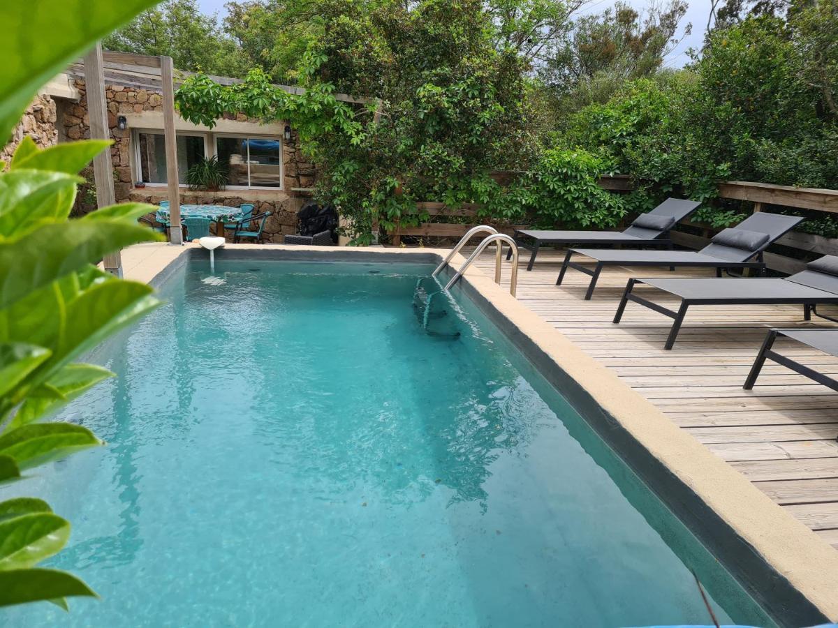 Salvacintoggio -votre Avec Piscine Privee- * Porto-Vecchio (Corsica)